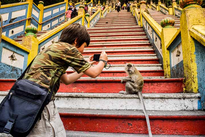 Close encounter with monkey at Batu Caves Kuala Lumpur