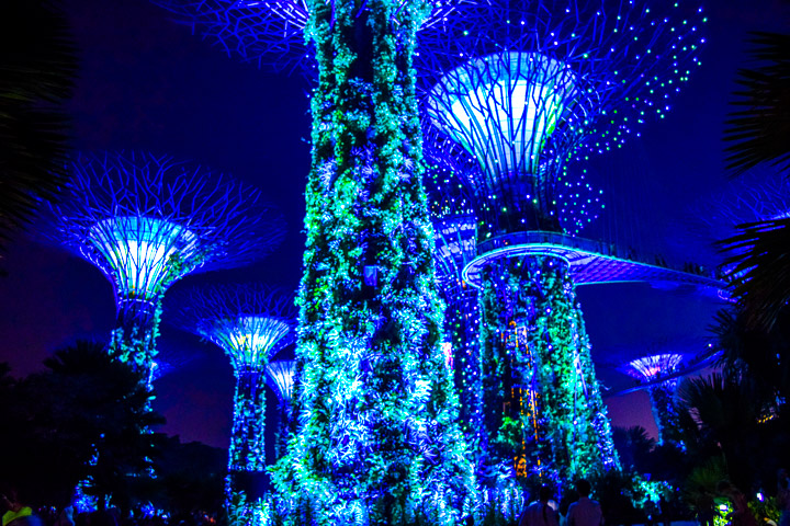 Kuala Lumpur to Singapore by Bus or Train Super Tree Grove