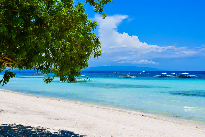 shady tree on White Beach, Panglao Island, Bohol, Philippines