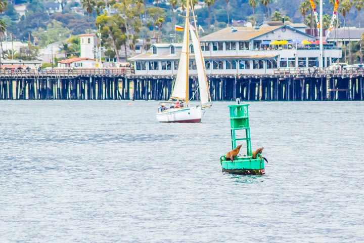 Leaving Santa Barbara on our Whale watching boat