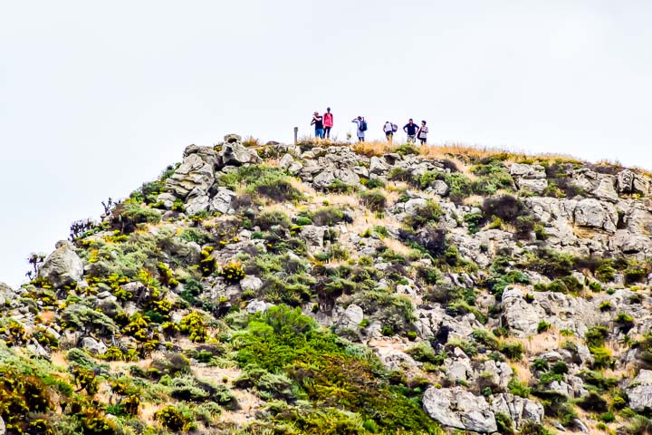 Santa Barbara Whales went past Santa Cruz island