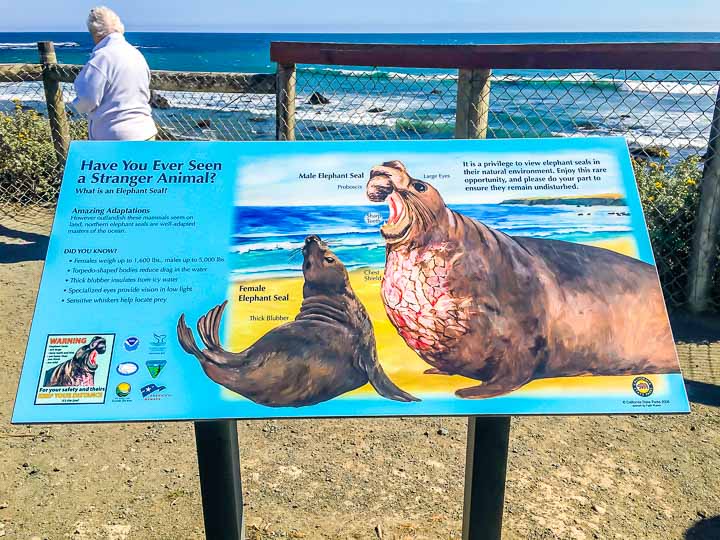 San Simeon Elephant Seal Rookery sign