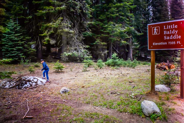 Sequoia National Park Snow at little baldy saddle