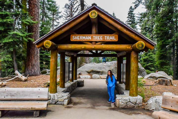 Sequoia National Park Sherman Tree Trail