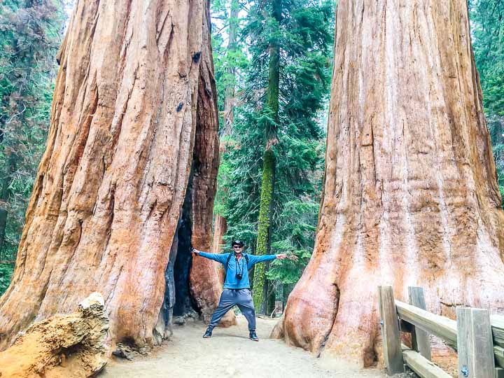 Sequoia National Park Giant Forest