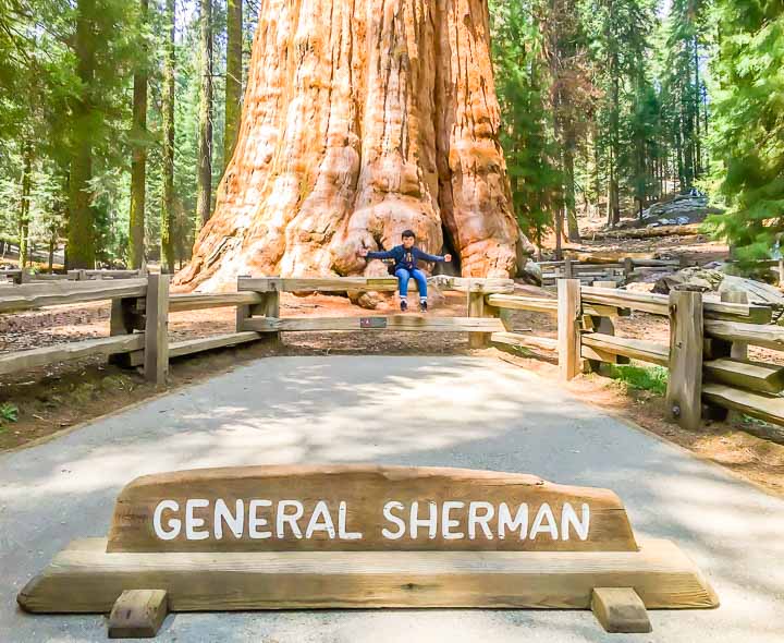 Top 5 Attractions in Sequoia National Park general Sherman tree