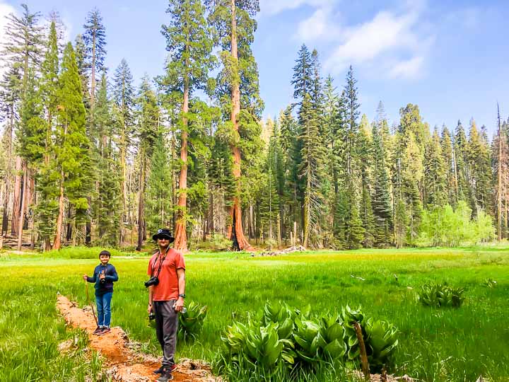 Sequoia National Park crescent meadow