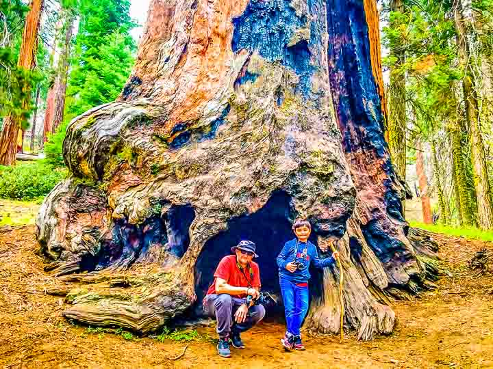 Sequoia National Park Chimney Log