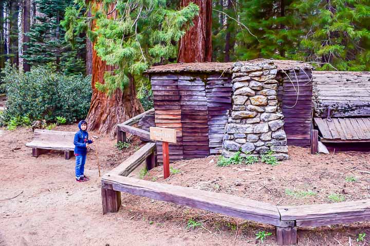 Top 5 Attractions in Sequoia National Park Tharp's log
