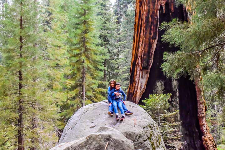 Sequoia National Park crescent meadow hike