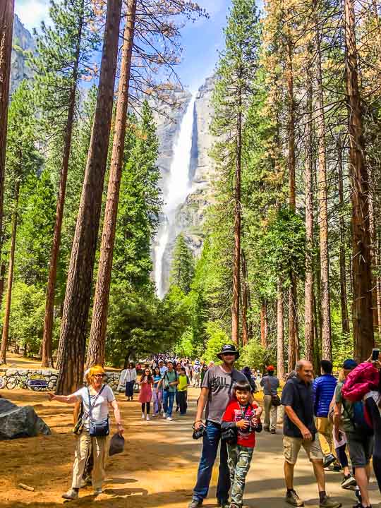 Yosemite National Park Camping lower Yosemite falls