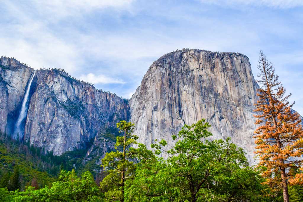 Top 5 Attractions Yosemite El Capitan