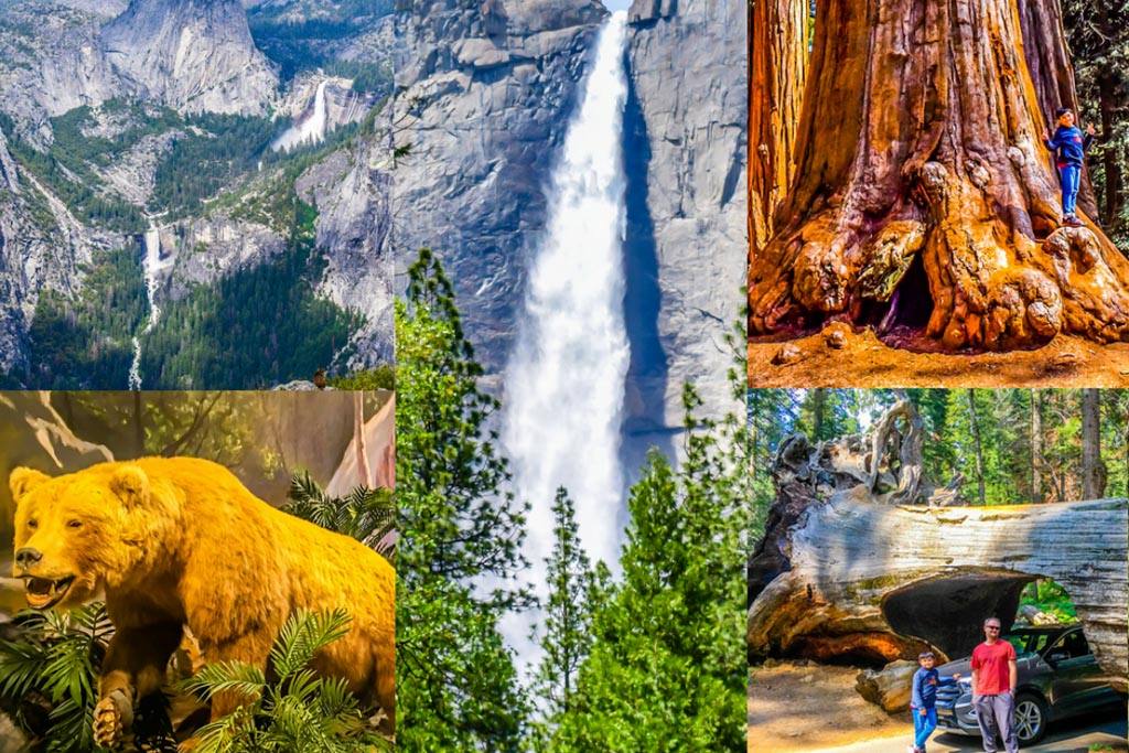 3 best California National Parks