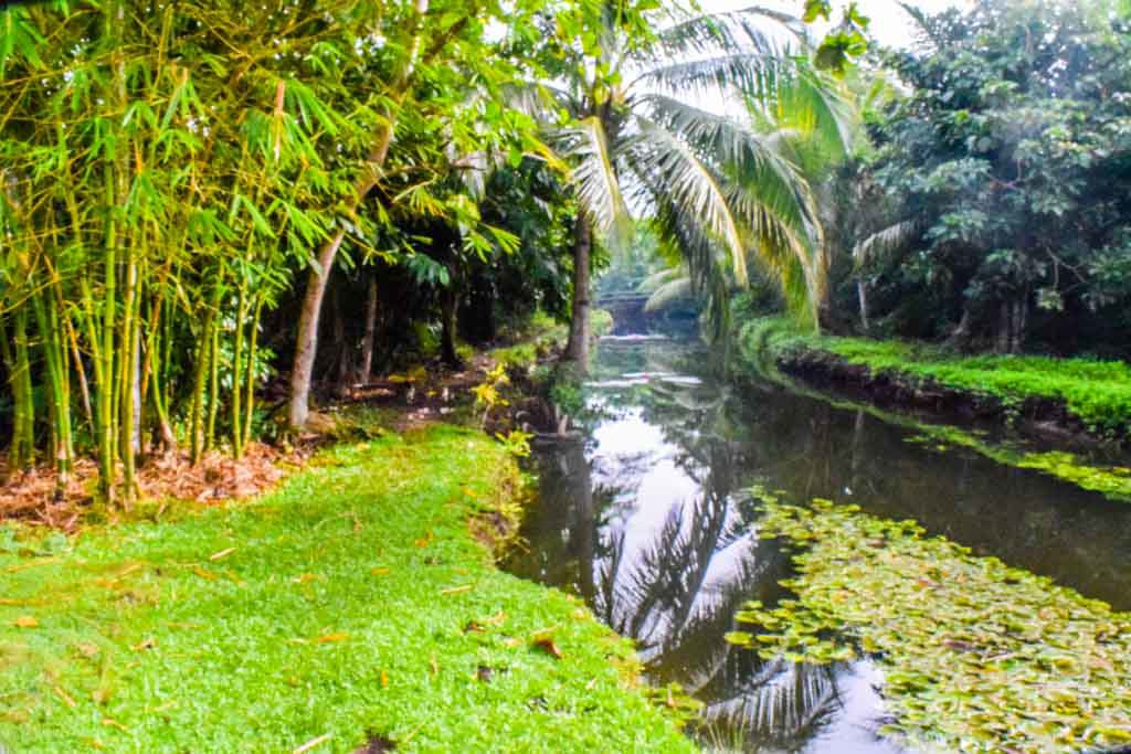 Things to do in Bohol Loboc River Resort monkey island