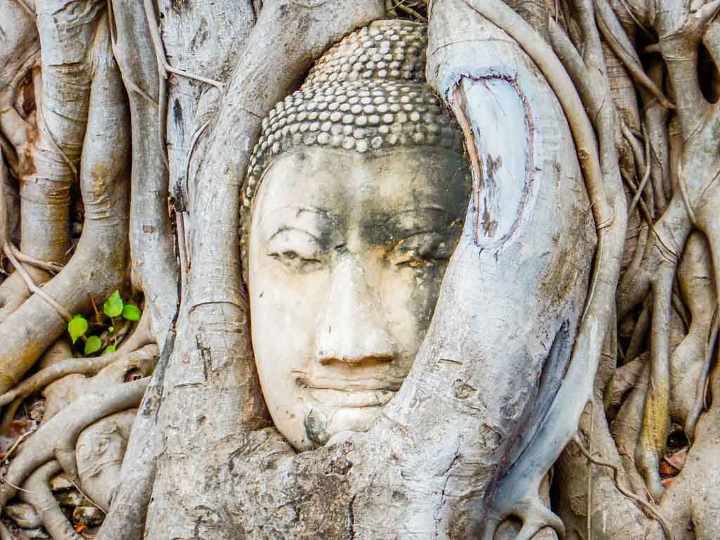 Things to see in Ayutthaya Buddha's head in tree roots