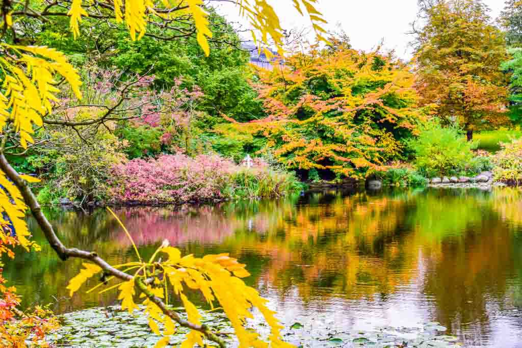 Copenhagen Botanical Garden in autumn