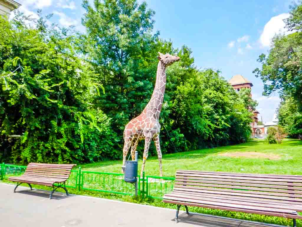 things to do in bucharest natural history museum giraffe