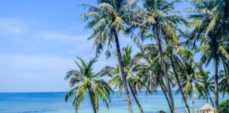 Travel Guide to Phu Quoc