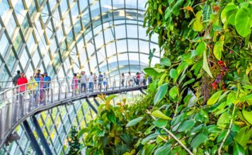 Travel Guide to Singapore