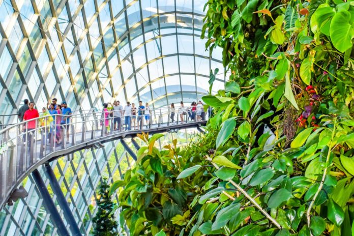 Travel Guide to Singapore