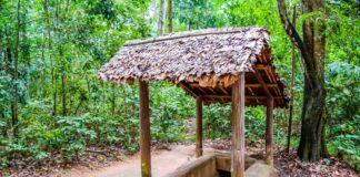 Cu Chi Tunnels Tour