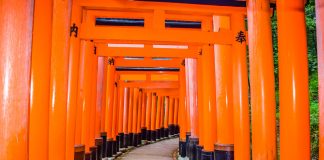 Travel Guide to Kyoto