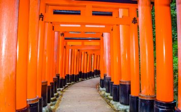 Travel Guide to Kyoto