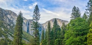 Quick Travel Guide to Yosemite National Park