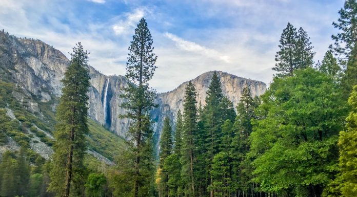Quick Travel Guide to Yosemite National Park
