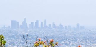 P915 Travel Guide to Los Angeles