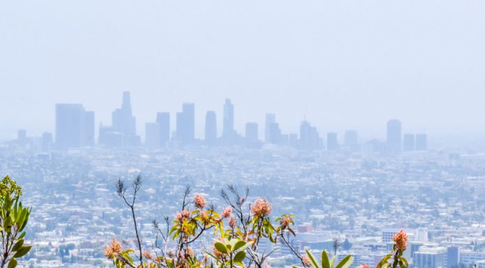 P915 Travel Guide to Los Angeles