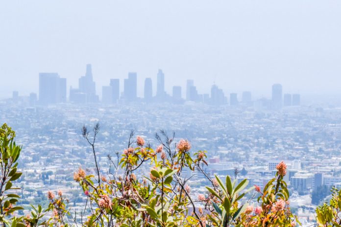 P915 Travel Guide to Los Angeles