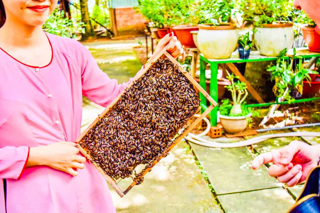 Mekong Delta Tour at Ben Tre Vietnam 100 bees