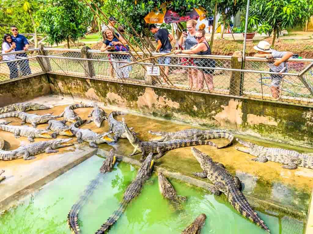 Mekong Delta Tour at Ben Tre Vietnam 100 crocodiles