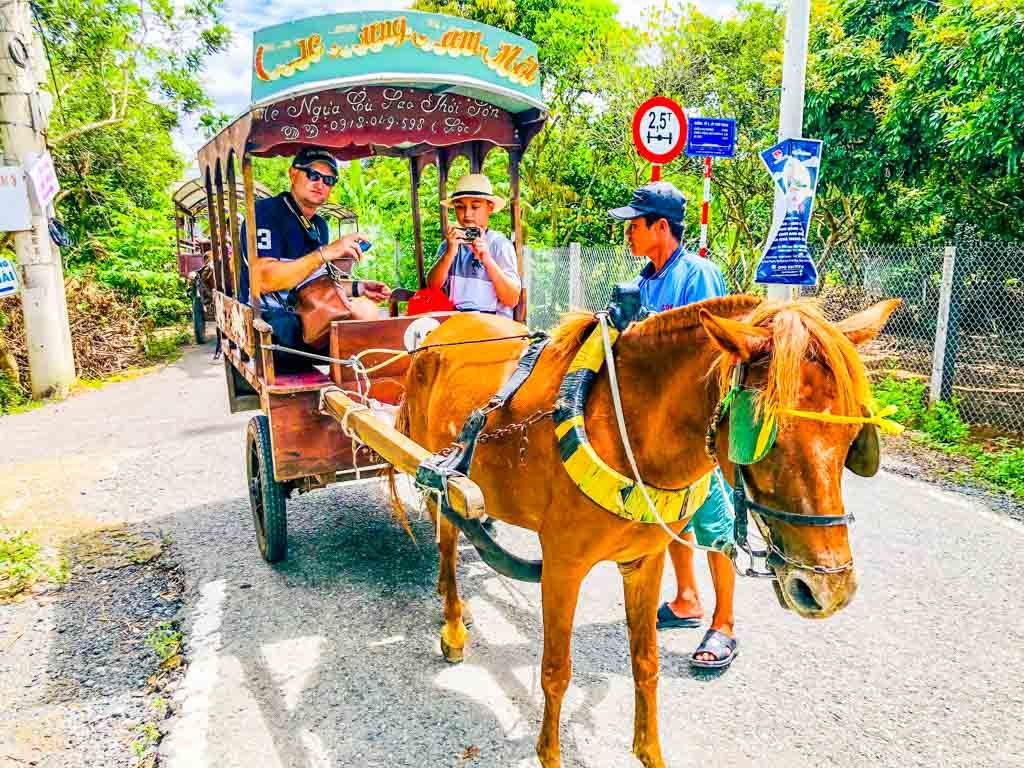 Mekong Delta Tour at Ben Tre Vietnam 100 horse cart