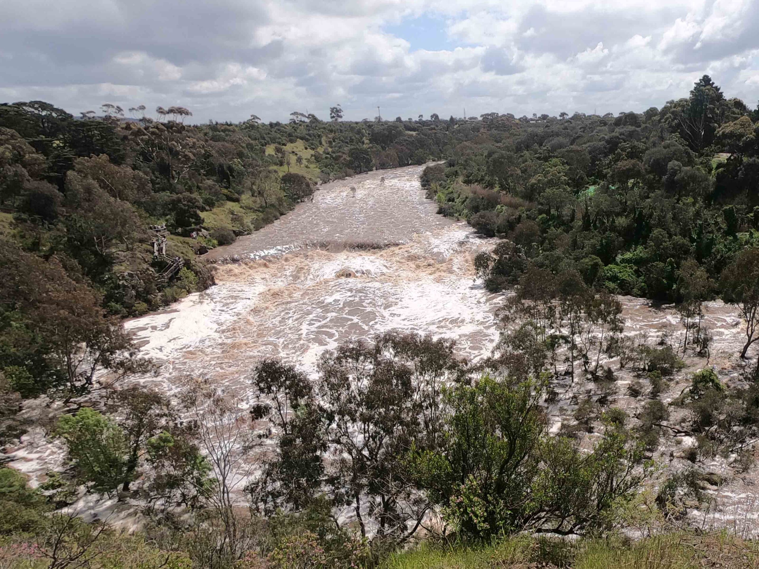 buckleys falls geelong - geelong attractions