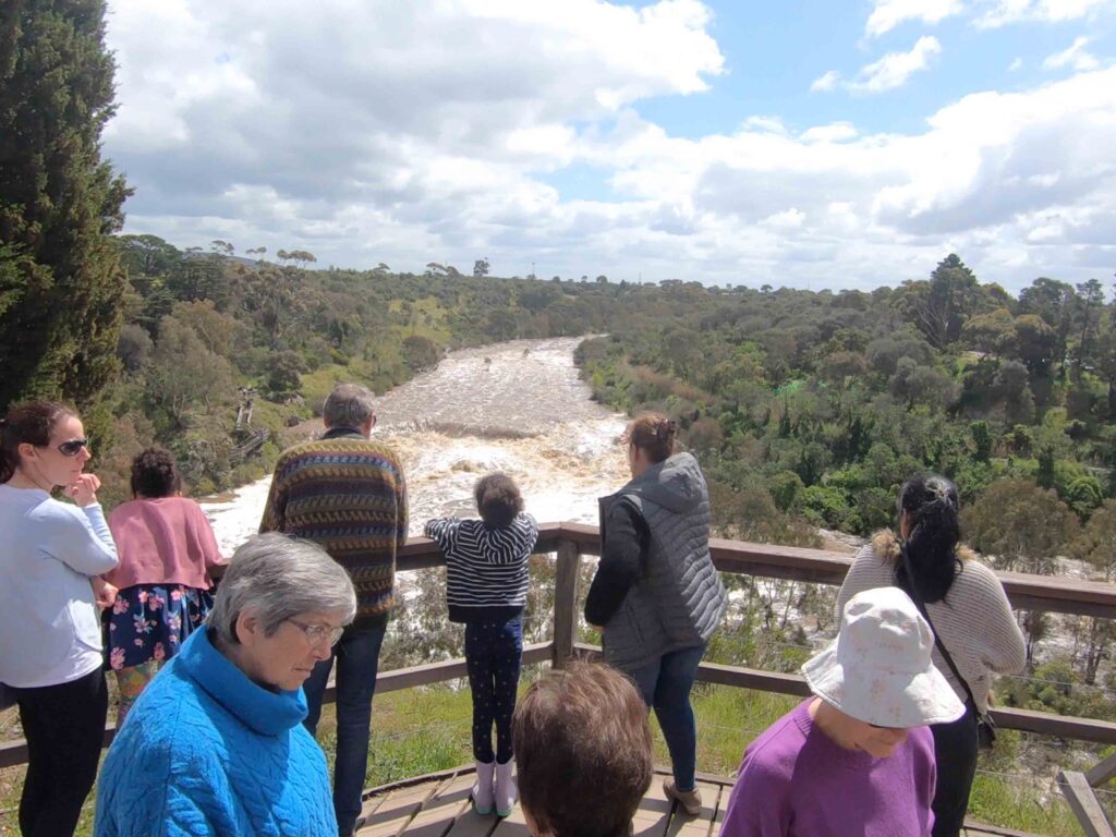 buckleys falls lookout geelong