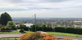 P202-Geelong-Attractions-Wandana-Lookout-view-from-the-top