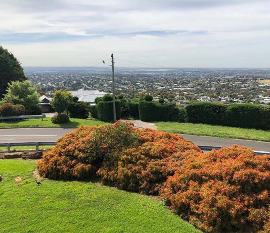 P202-Geelong-Attractions-Wandana-Lookout-view-from-the-top
