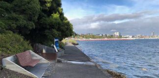 P205-things-to-do-in-geelong-eastern-beach-mineral-spring